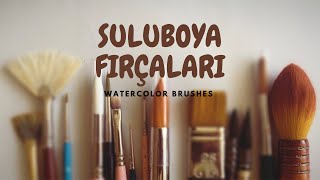 SULUBOYA GİRİŞ | Yeni başlayanlar için fırça önerileri | Watercolor brushes for beginners