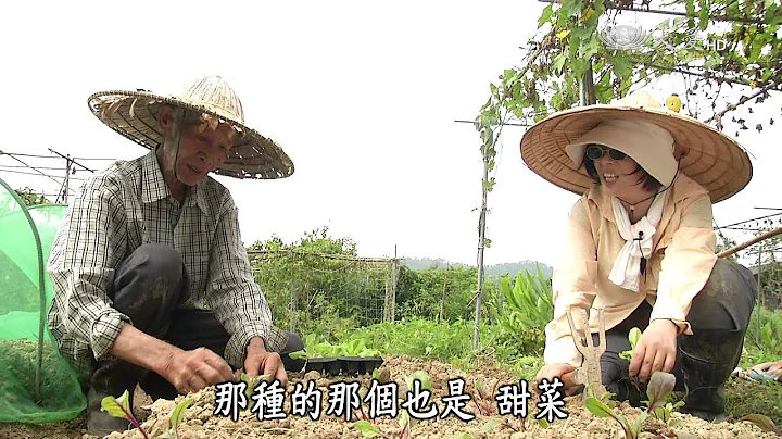 【农夫与他的田】20151130 - 跟老农种田趣 - 天天要闻