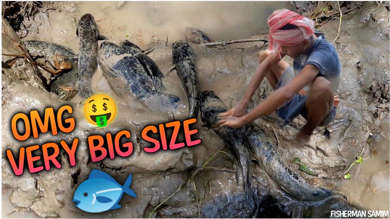 Amazing Hand Fishing | catching fish by hand | Fish video