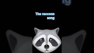 the raccoon song