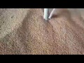 Очистка кукурузы от амброзии зерночистка ОВС 25