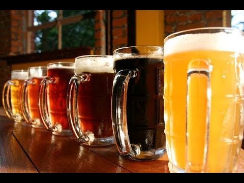 День пива: как варят и сколько стоит бокал в Чехии