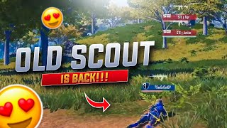 sc0utOP gets the chicken - THE OLD SCOUT IS BACK ??