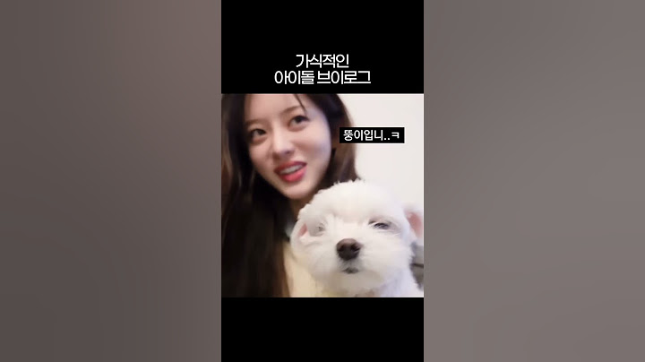 가식적인 아이돌 브이로그 [아일릿]