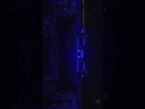 乃木坂46 「日常」全国ツアー2019
