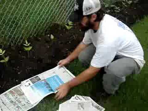 Tougaloo-Rainbow Sustainable Garden - weed control