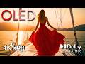 OLED HDR 4K in Dolby Vision | The Most Beautiful Footage Ever(4K/8K TV)
