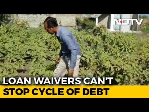 Has The Loan Waiver Helped Rajasthan, Madhya Pradesh Farmers?