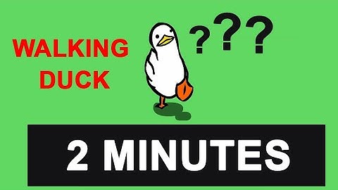 Duck Goes For A Walk 2 Minutes - Countdown Timer 2 minutes - walking duck - đồng hồ đếm ngược