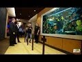 The Giant Aquarium at The Pacific Beach Hotel Dinning Room ...