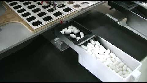 M5000 Machine Using Fanuc M-1iA Robot To Pick Pills