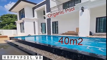 Thiết Kế Thi Công Mẫu Hồ Bơi Gia Đình 40m2 Đẹp Chi Phí Thấp | Happypool.vn | ĐT: 0934601181