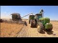 Harvesting Yellow Field Peas in Western Nebraska