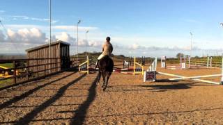 1ft9 Show Jumping Class