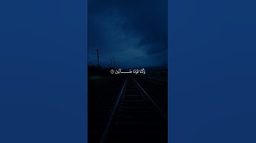 أكتب شيء تؤجر عليه ❤️ | تلاوة هادئة تريح القلب بصوت الشيخ ماهر المعيقلي |#قرآن