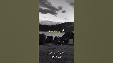القارئ: محمد اللحيدان 🍃  أرح سمعك 🥀حالات واتس آب ♻️ #اكسبلور #المصحف #اكسبلورفولو #دويتو #لايك