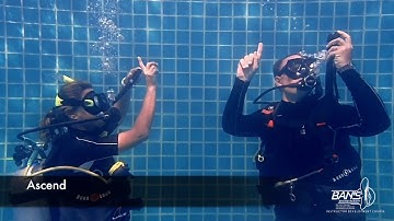 Five point ascent - PADI Skill Circuit - Divemaster and IDC