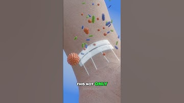 How Zip Stitches Works