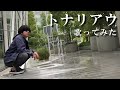 トナリアウ 歌ってみた もこう