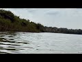 In The Most Dangerous River Yalla Searching For Senior DaveтАжOna Tulichokipata ЁЯЩЖwhy Do This To SD In The Most Dangerous River Yalla Searching For Senior DaveтАжOna Tulichokipata ЁЯЩЖwhy Do This To SD