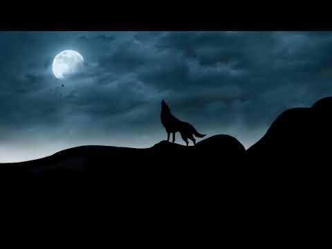 paisaje terror lobo