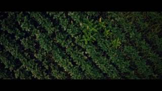 Sunny Fields- DJI Mavic Pro- 4K screenshot 3