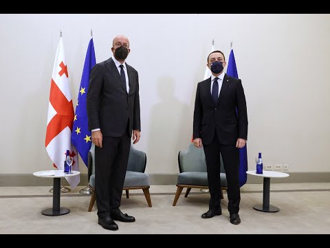 პრემიერის შეხვედრა შარლ მიშელთან