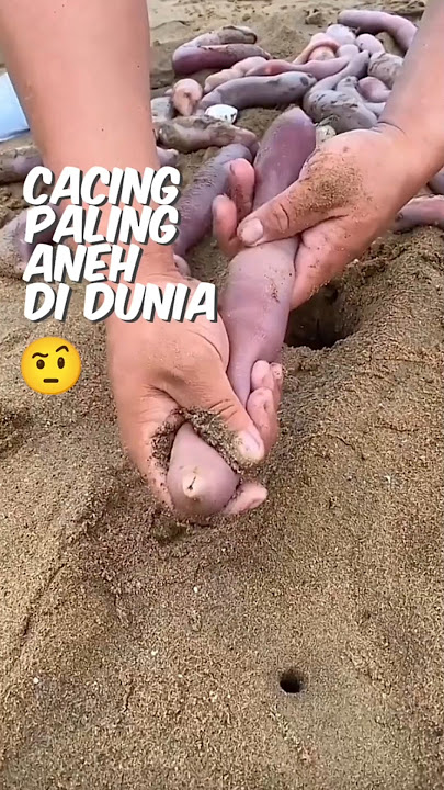 Cacing Ter-aneh di Dunia 🤨