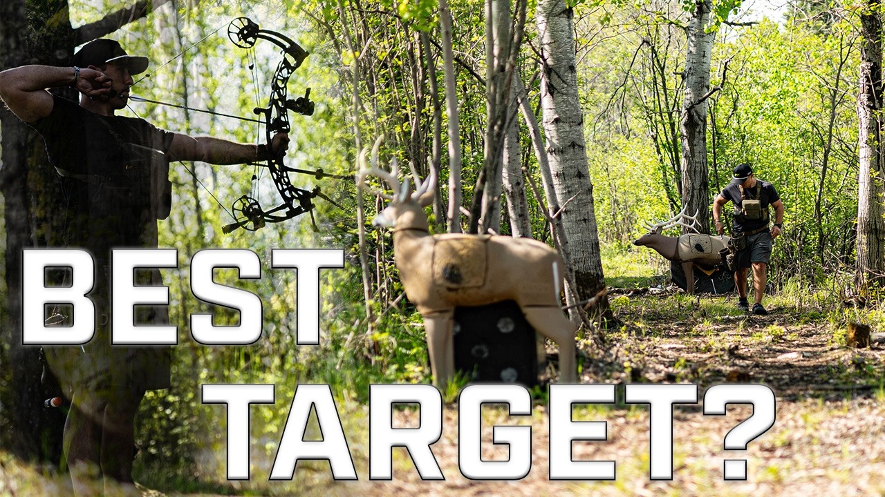 Top Budget ARCHERY TARGETS For Bowhunters (Surprised Me)