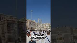 Download Lagu labbaikalla hummalabbaik, alhamdulillah #hajjeakbar #makkah #masjidalharam MP3 Download Lagu labbaikalla hummalabbaik, alhamdulillah #hajjeakbar #makkah #masjidalharam MP3