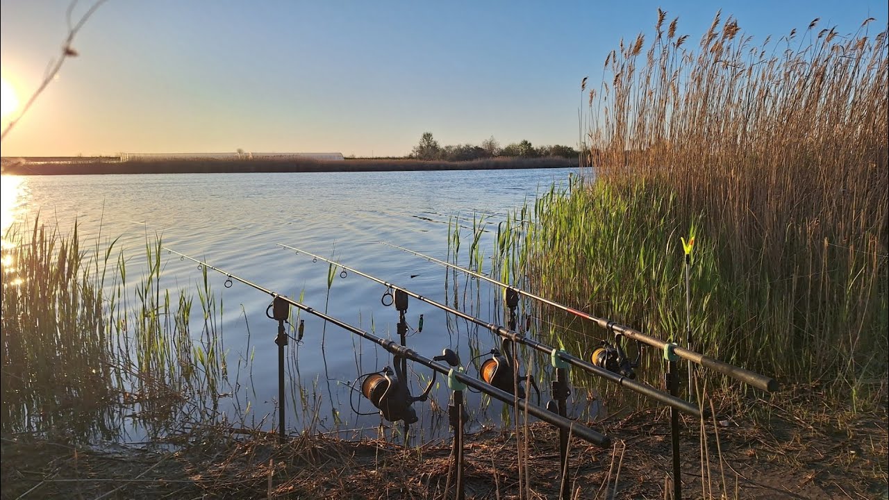 Попали на вечірній вихід риби. Рибалка з ночівлею у наметах. Смажимо шашлики на природі