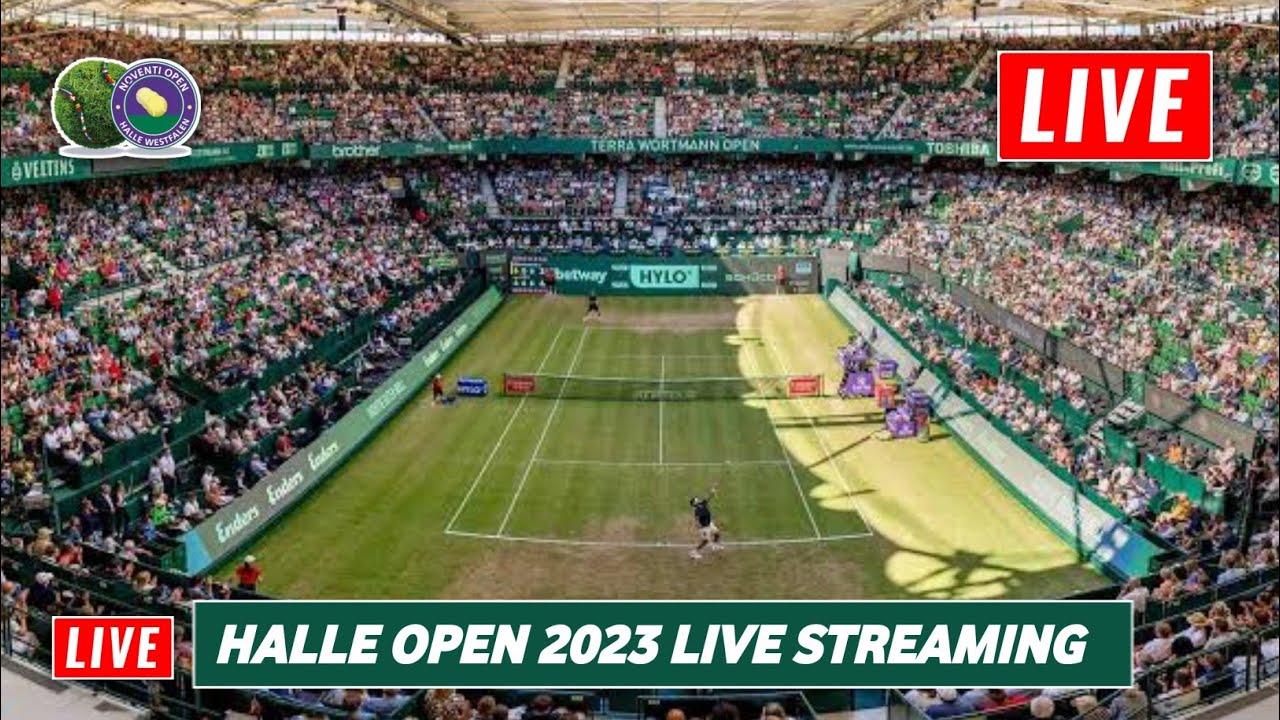 halle open live streaming