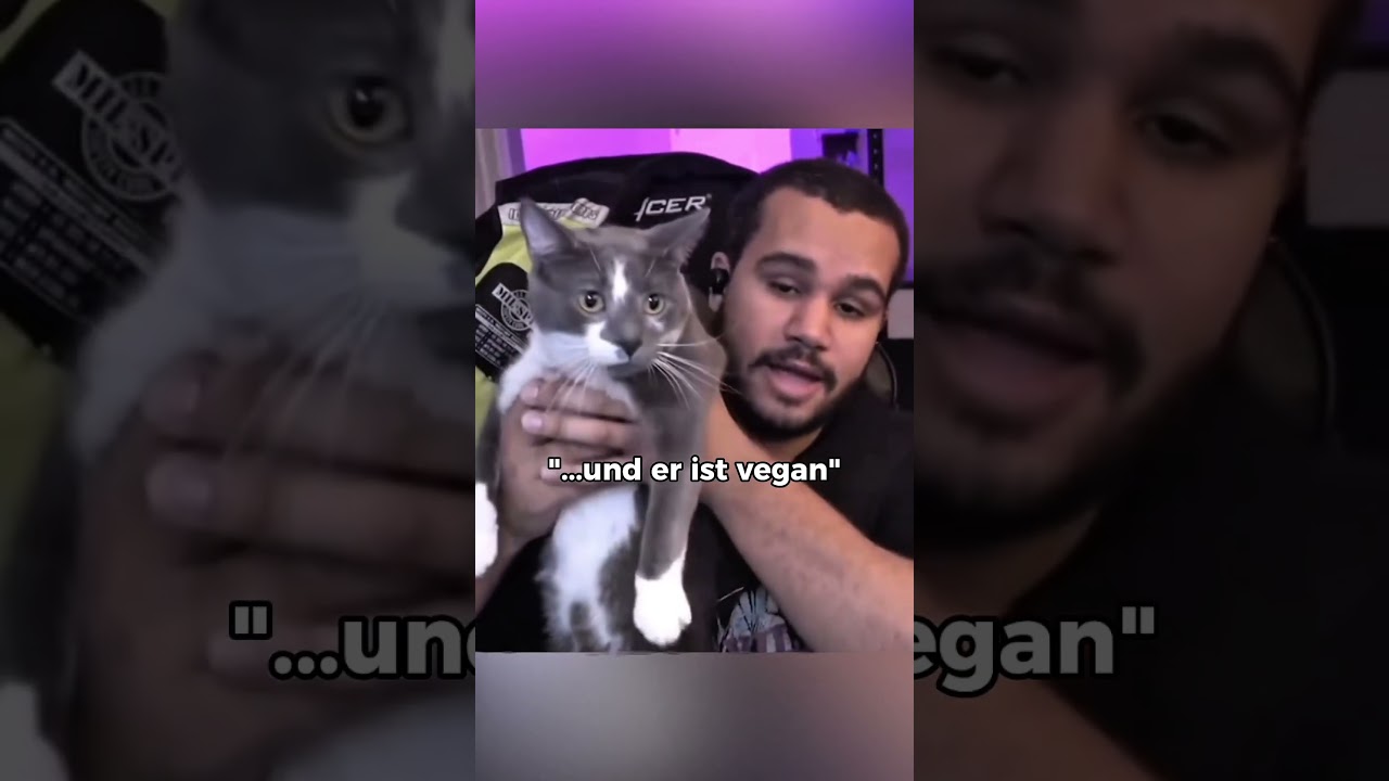 Er wollte seine Katze vegan ernähren😱😳