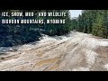 We Thought We Might Be STUCK in Mud and Snow in the Bighorns!