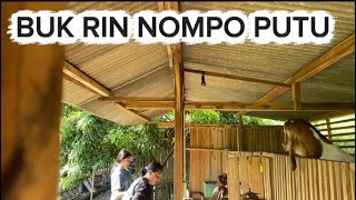 ALHAMDULILLAH ISUK ISUK REZEKI TEKO || WEDUS E TAMBAH MEMBER BARU😍