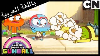 الحقيقة | غامبول | كرتون نتورك