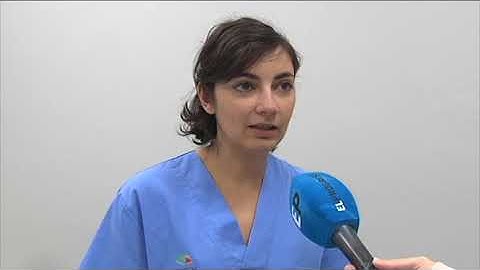 Excrementos caninos: un peligro para la salud