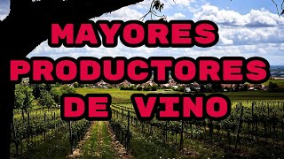 🍷 TOP 10 países que más vino producen 🍇