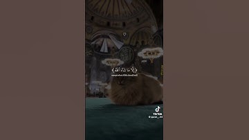 استمع القرآن الكريم واكتب يارب #القرآن_الكريم #comedianmahmoudagamey #محمودعجمي #لايك #اكسبلور #ترند
