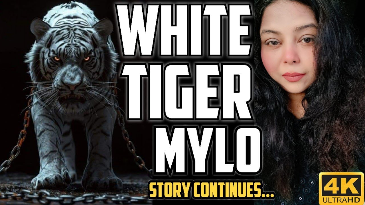 WHITe Tiger MYLO Se Ki Ek Mulakat | Meeting With Big Wild Cat 🐯