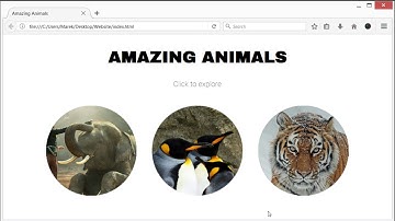 Website Diary 47 - Muse Fonts