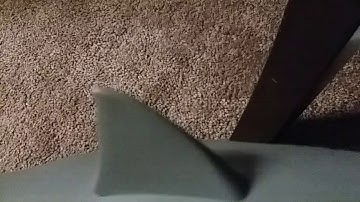 Jaws 3 finding nemo part 31