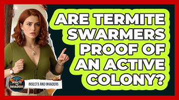 Are Termite Swarmers Proof Of An Active Colony?