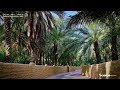 بلدية مدينة العين تشارك بمهرجان العين للرطب 2026