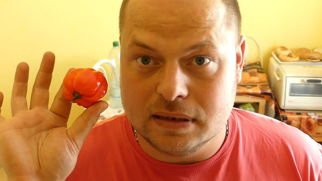 Főzzünk együtt! - Habanerós Chilis szósz házilag!