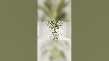 This AI Animation Will Make You Think 🤔 #asmr #ai #transformation  | veo 3 | ai video | json prompt