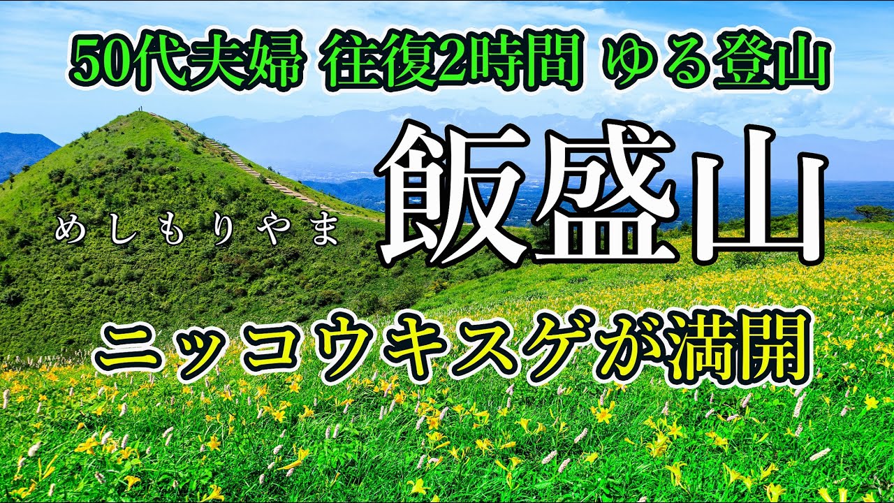 ニッコウキスゲが満開【飯盛山】50代夫婦の緩やか登山