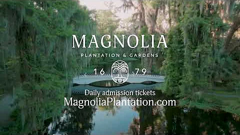 Magnolia Plantation and Gardens | Charleston Channel