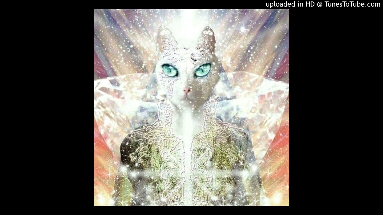 Dmc Mystic   Pop EDM Lyran felin mix