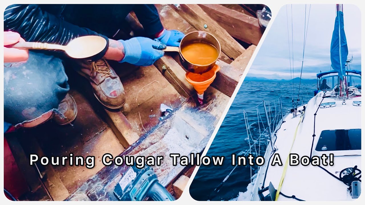 Pouring Cougar Tallow Into a Sailboat!Will it Stop Leaking?! Return to the Free Boat! SB&H Ep13